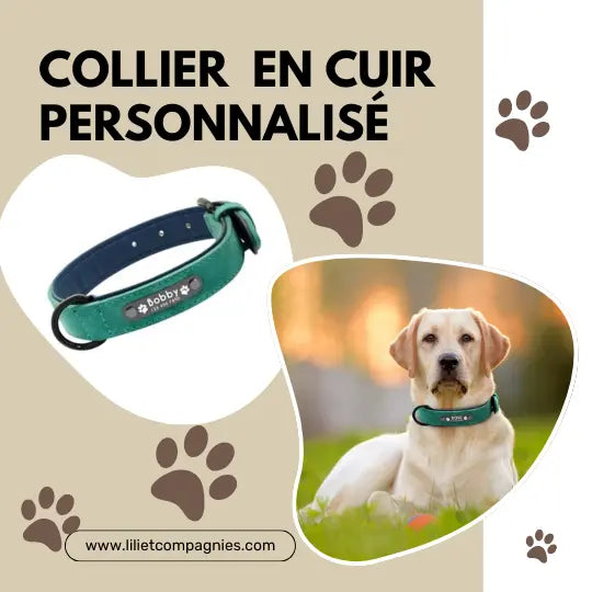 Collier Cuir Personnalisé Chien Lili&Compagnies