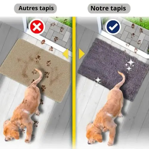 Tapis absorbant pour animaux - Lili&Compagnies